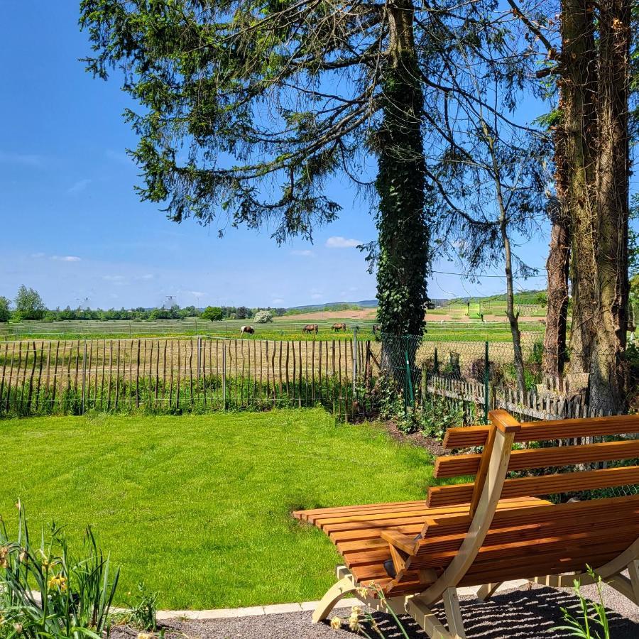 Komfort Ferienwohnungen Mit Wellness-Garten - Gaestehaus Am Bachlauf - Losheim Am See Esterno foto