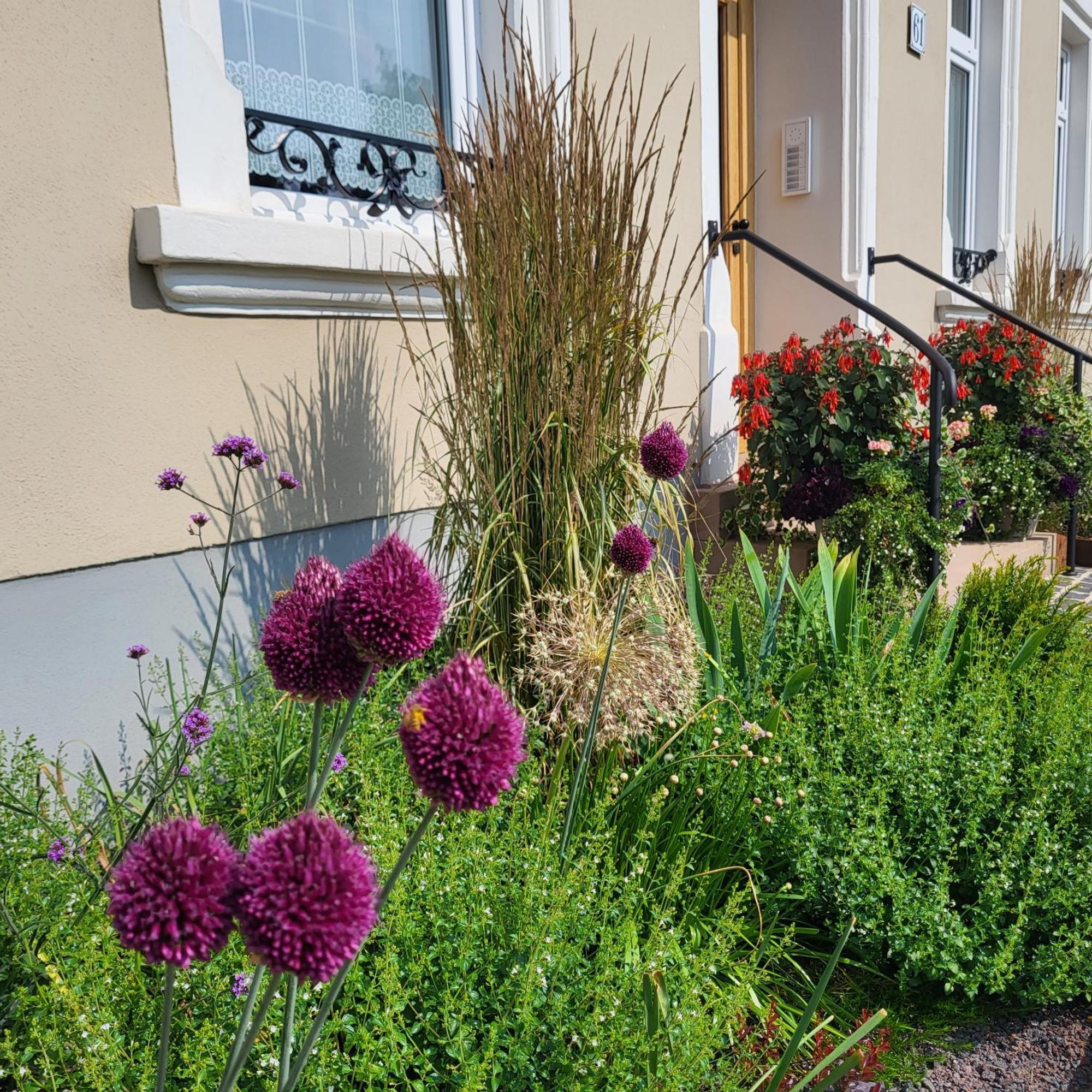 Komfort Ferienwohnungen Mit Wellness-Garten - Gaestehaus Am Bachlauf - Losheim Am See Esterno foto