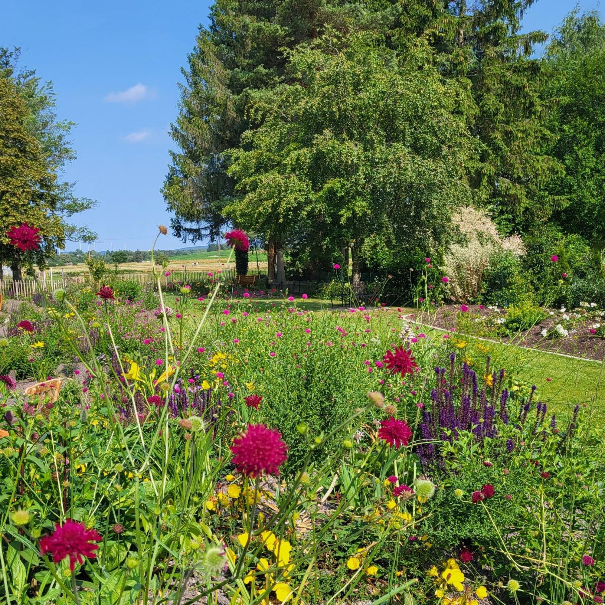 Komfort Ferienwohnungen Mit Wellness-Garten - Gaestehaus Am Bachlauf - Losheim Am See Esterno foto