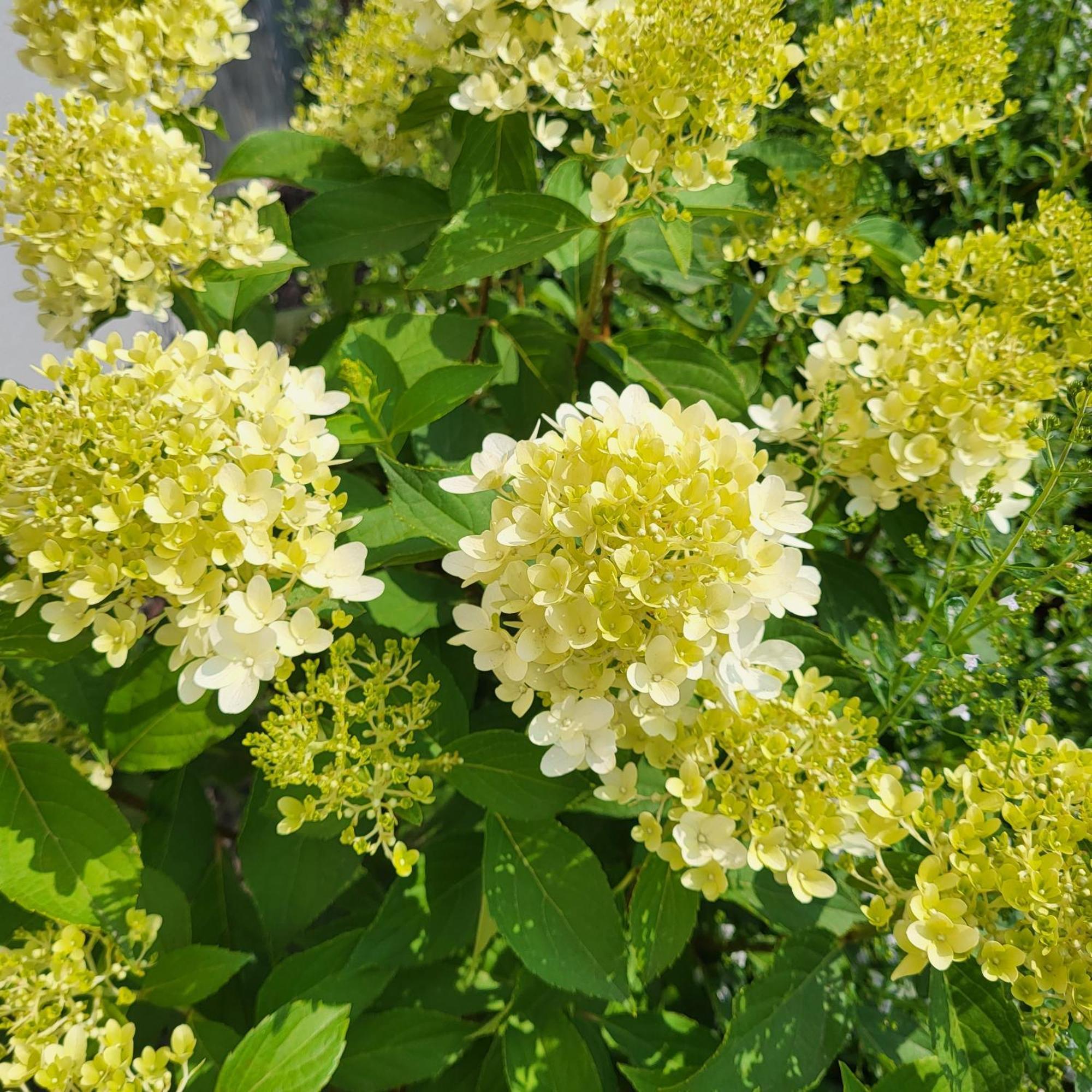 Komfort Ferienwohnungen Mit Wellness-Garten - Gaestehaus Am Bachlauf - Losheim Am See Camera foto
