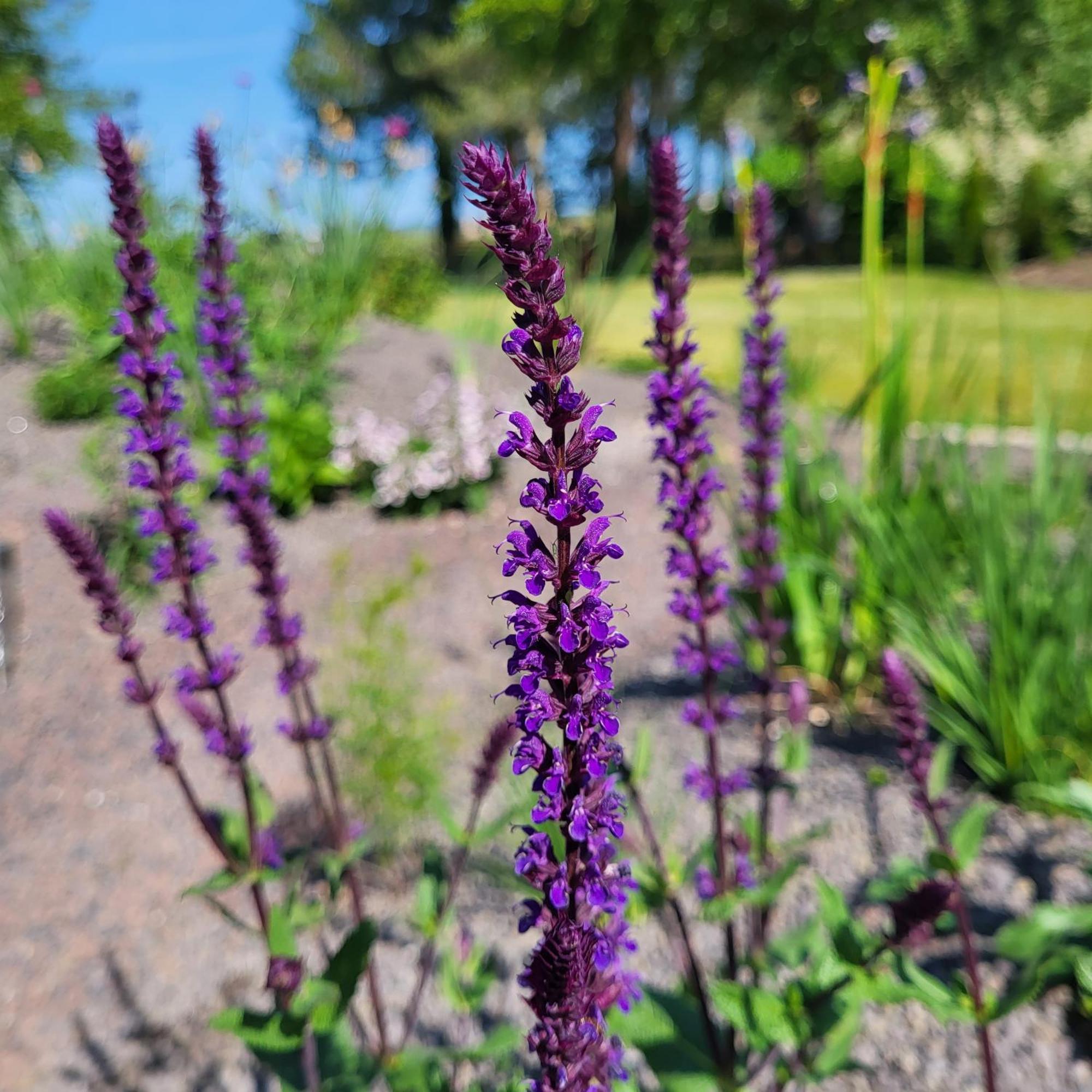 Komfort Ferienwohnungen Mit Wellness-Garten - Gaestehaus Am Bachlauf - Losheim Am See Camera foto