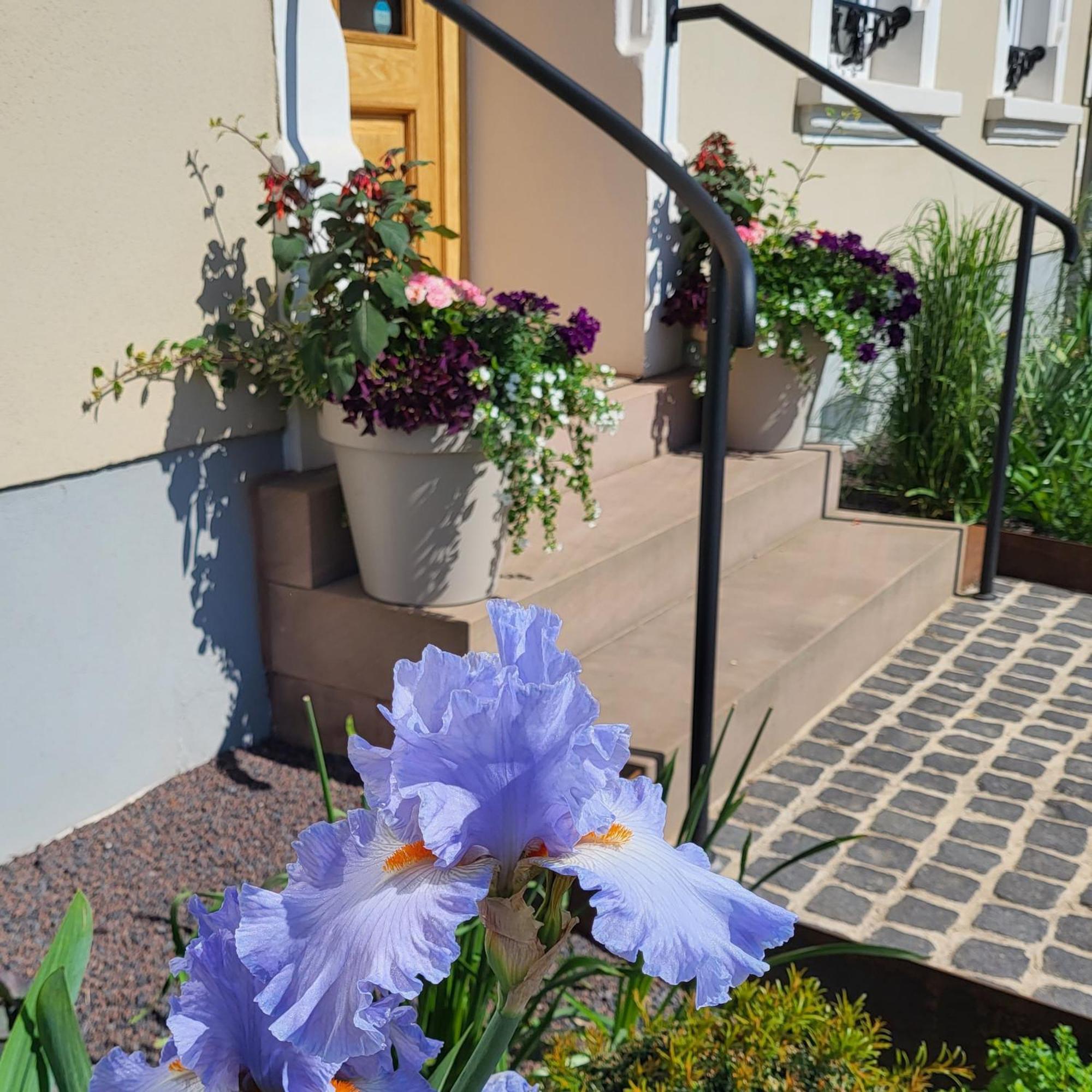 Komfort Ferienwohnungen Mit Wellness-Garten - Gaestehaus Am Bachlauf - Losheim Am See Camera foto