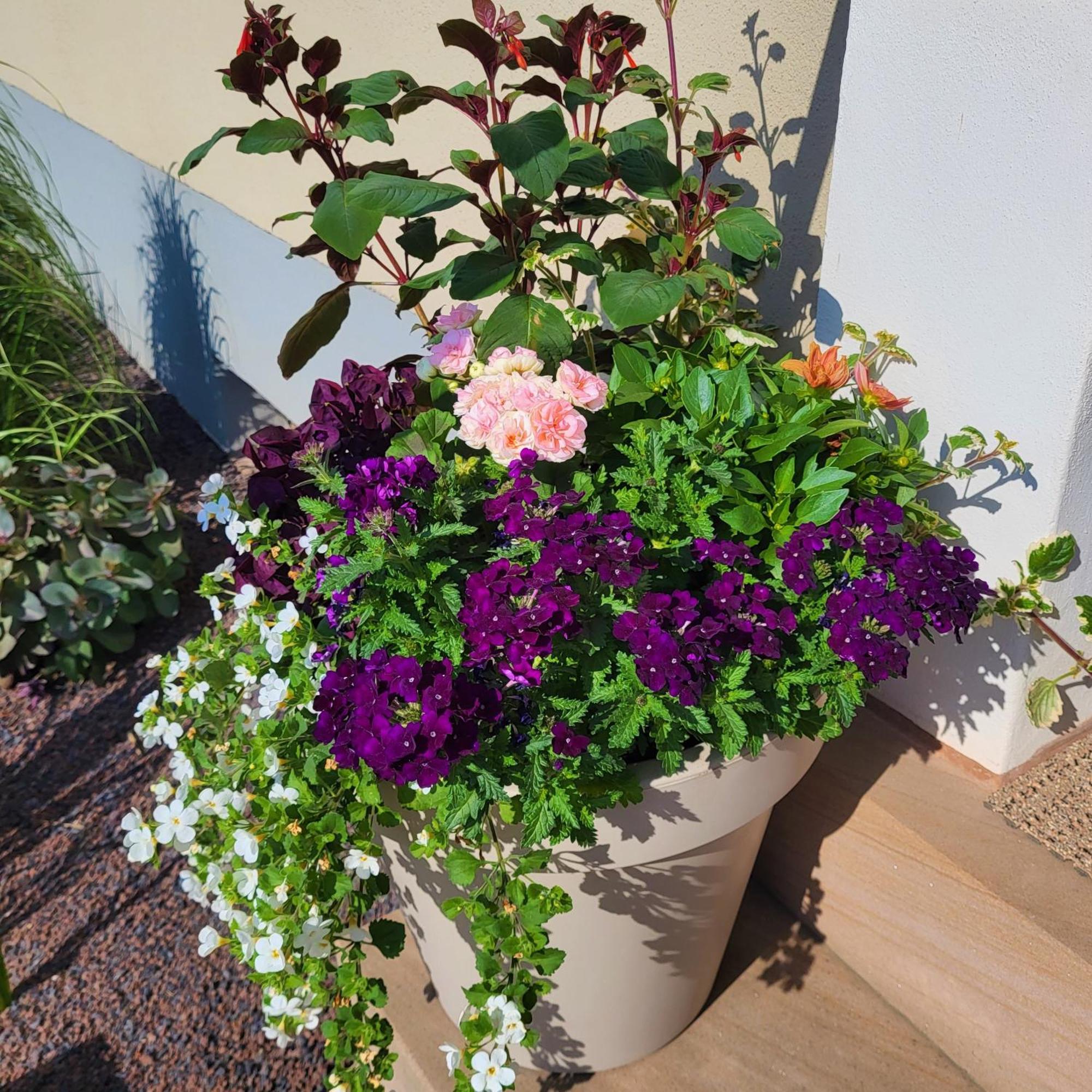 Komfort Ferienwohnungen Mit Wellness-Garten - Gaestehaus Am Bachlauf - Losheim Am See Camera foto