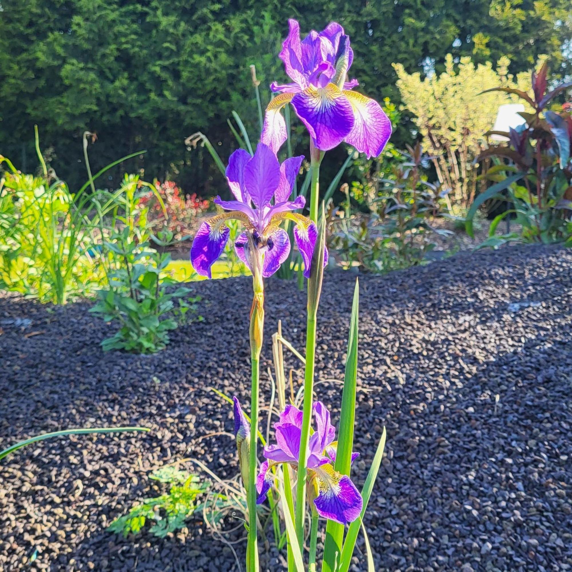 Komfort Ferienwohnungen Mit Wellness-Garten - Gaestehaus Am Bachlauf - Losheim Am See Camera foto
