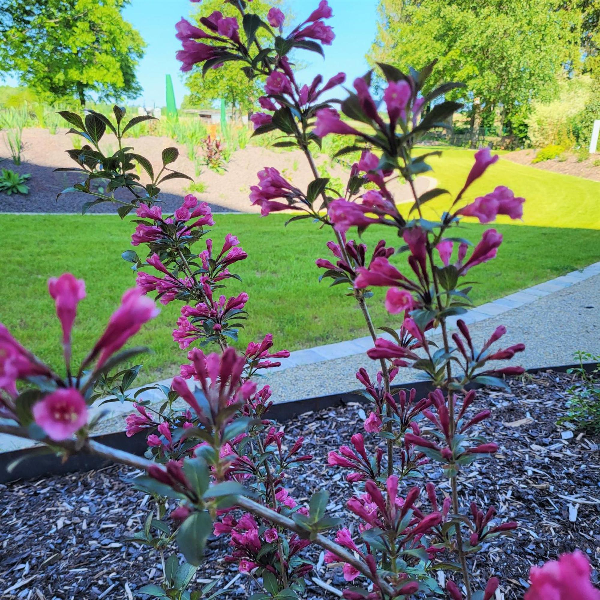 Komfort Ferienwohnungen Mit Wellness-Garten - Gaestehaus Am Bachlauf - Losheim Am See Camera foto